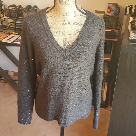 American Eagle Outfitters sequined sweater size La - Picture 1 of 13